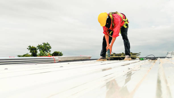 Professional Roofing Service in New Buffalo, MI