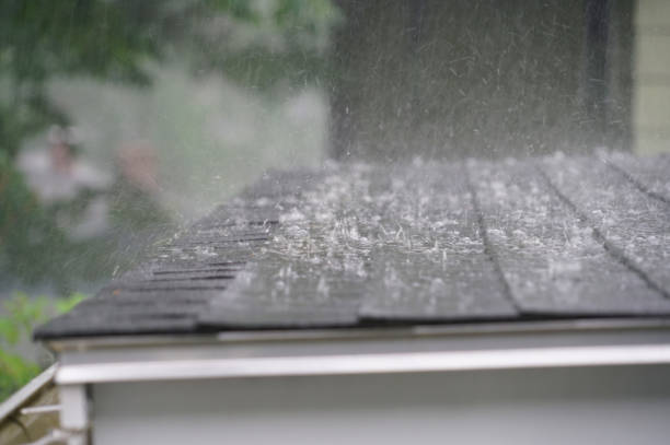 Best Cold Roofs  in New Buffalo, MI