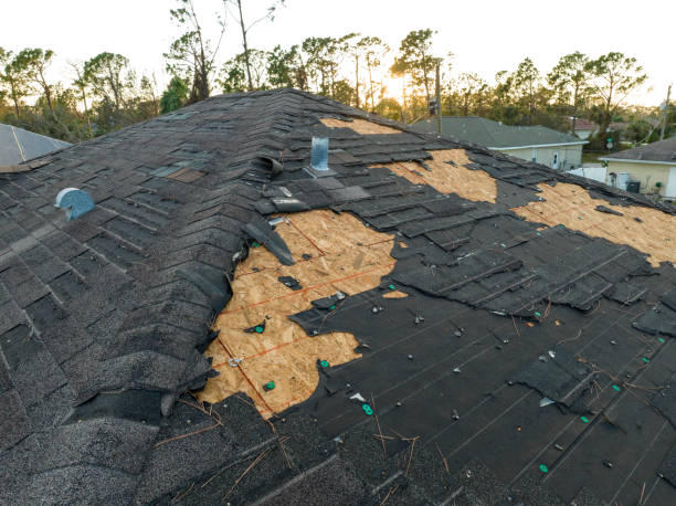 Best Tile Roofing Installation  in New Buffalo, MI